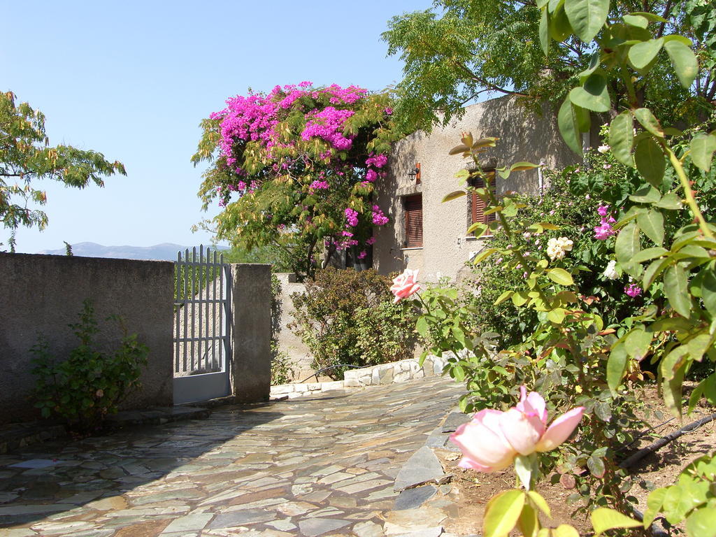 Cavo Grosso Bungalows Mavrovoúnion 객실 사진